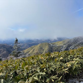 居合わせた方としばらくご飯を食べながら山談義。昼過ぎから風がさらに強くなり、樹氷の欠片が雪のように舞ってました。