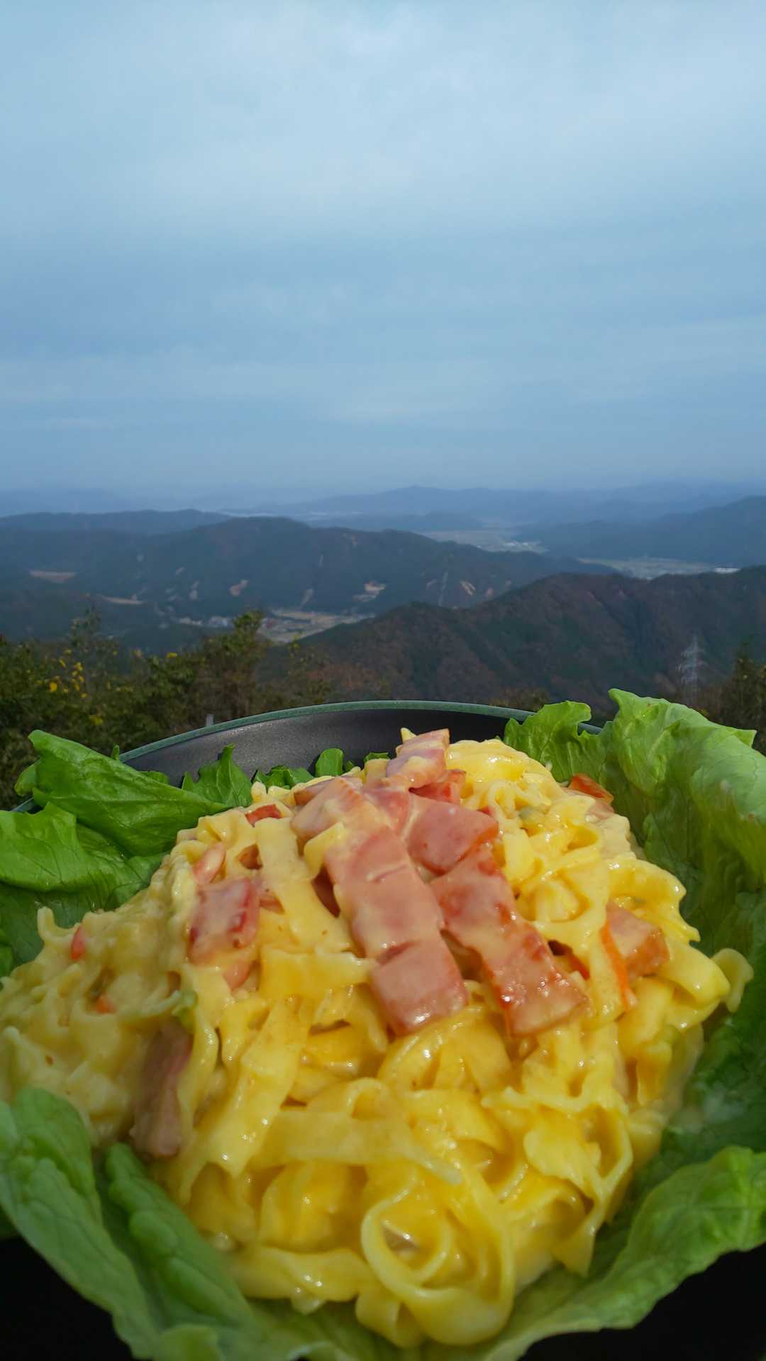 絶景だよ、パス太郎🍝