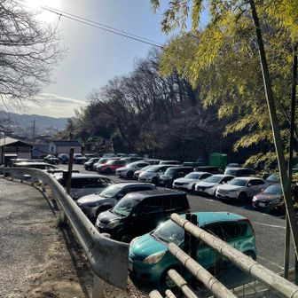 9割埋まっていた
人気の山だね