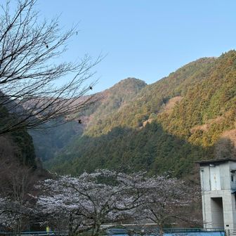 あれが今日登る棒ノ折山です。