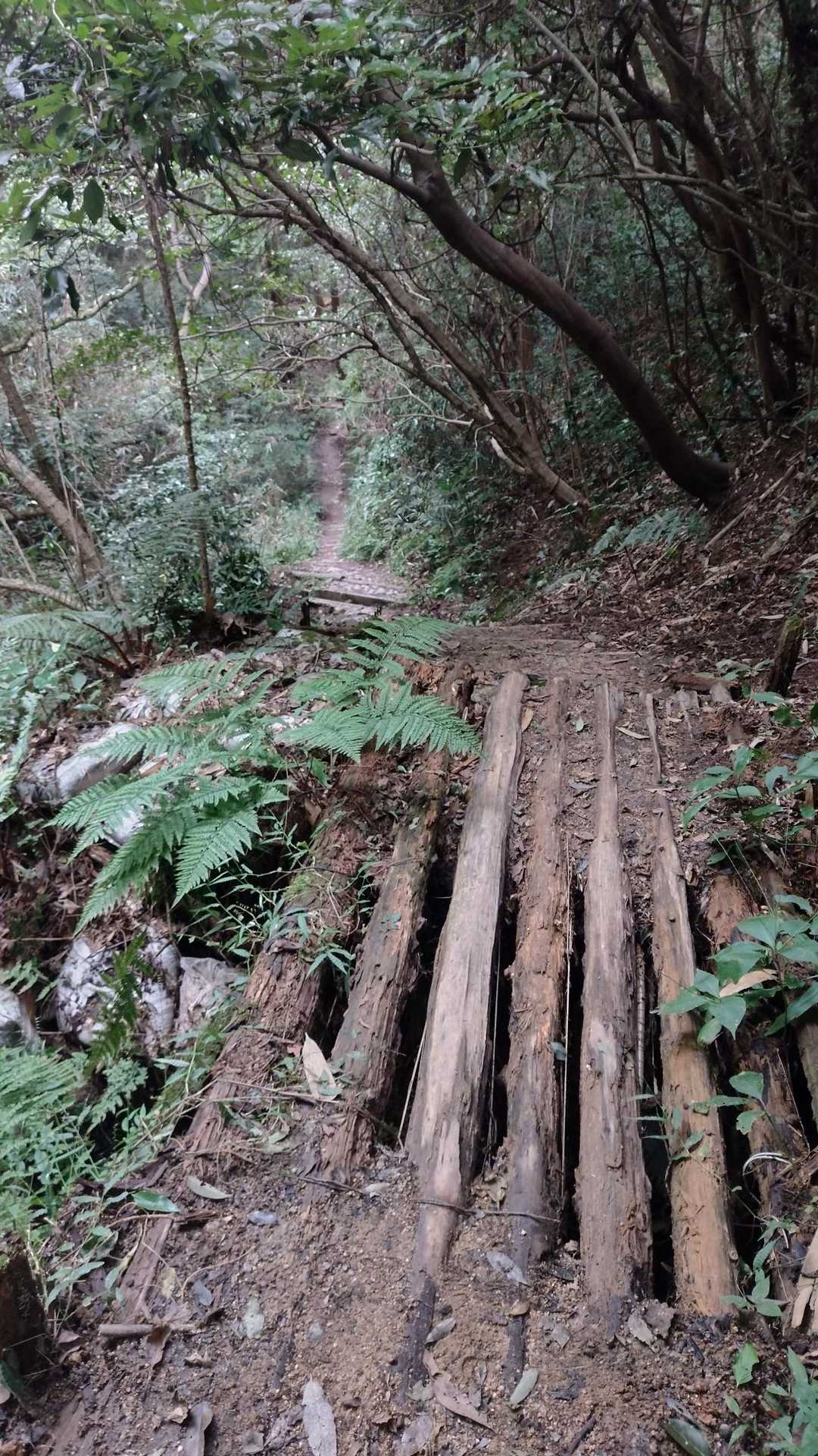 交野山登山口-交野山 三宝荒神-交野山 往復コースの写真