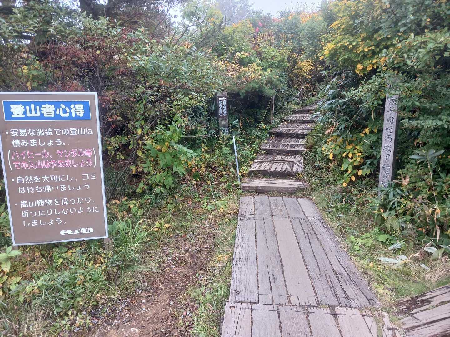 ここから歩いて行きます