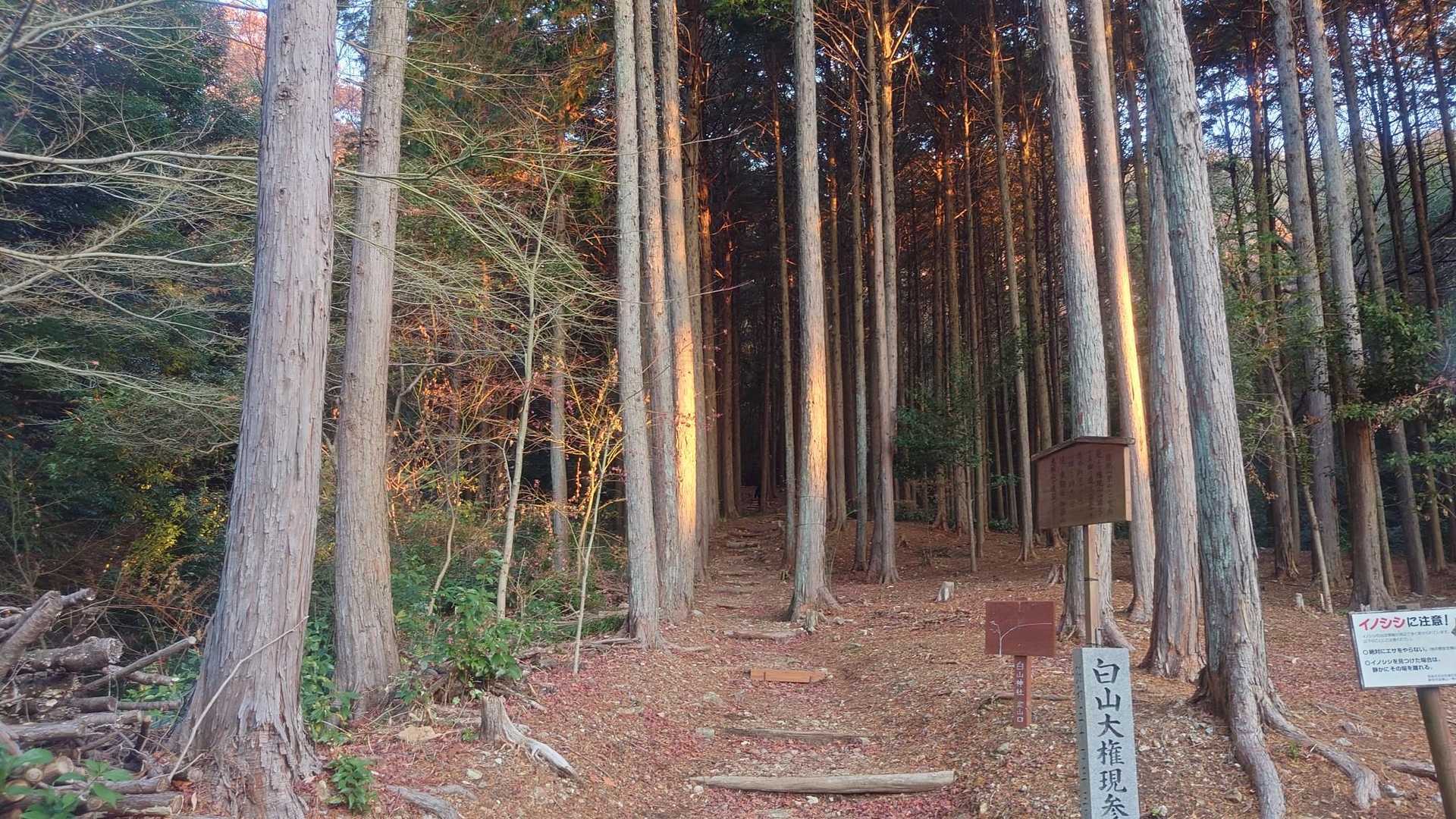 白山大権現参道口-野一色権現山 往復コースの写真