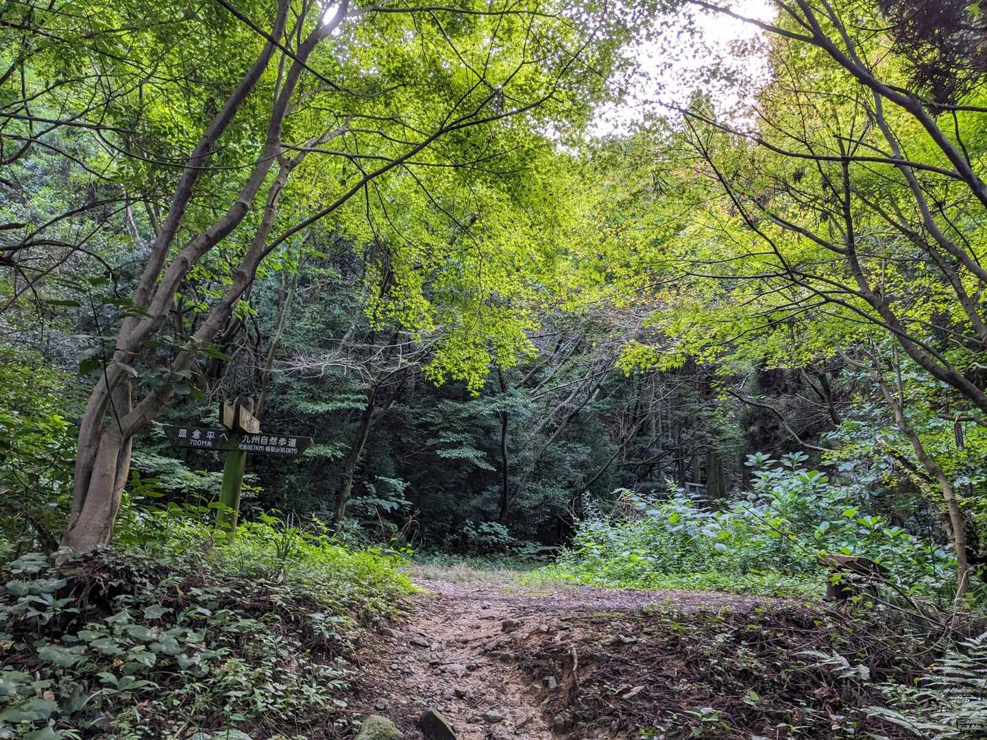 周回路迄登って来ました・🚶💦。