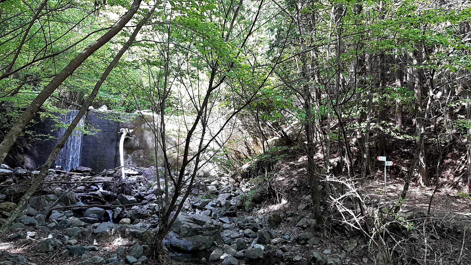 小川を渡って行きます