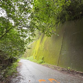 寳珠寺や集落の更に先。この周囲は湿度が高い為か、法面(のりめん)に苔がびっしり。