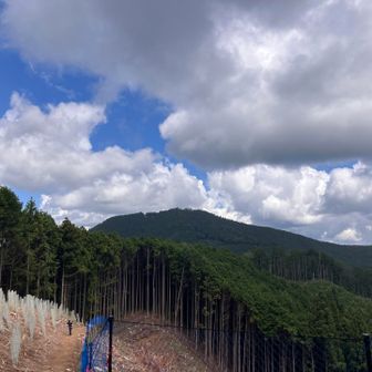 こんなところでようやく日の出山がお目見え