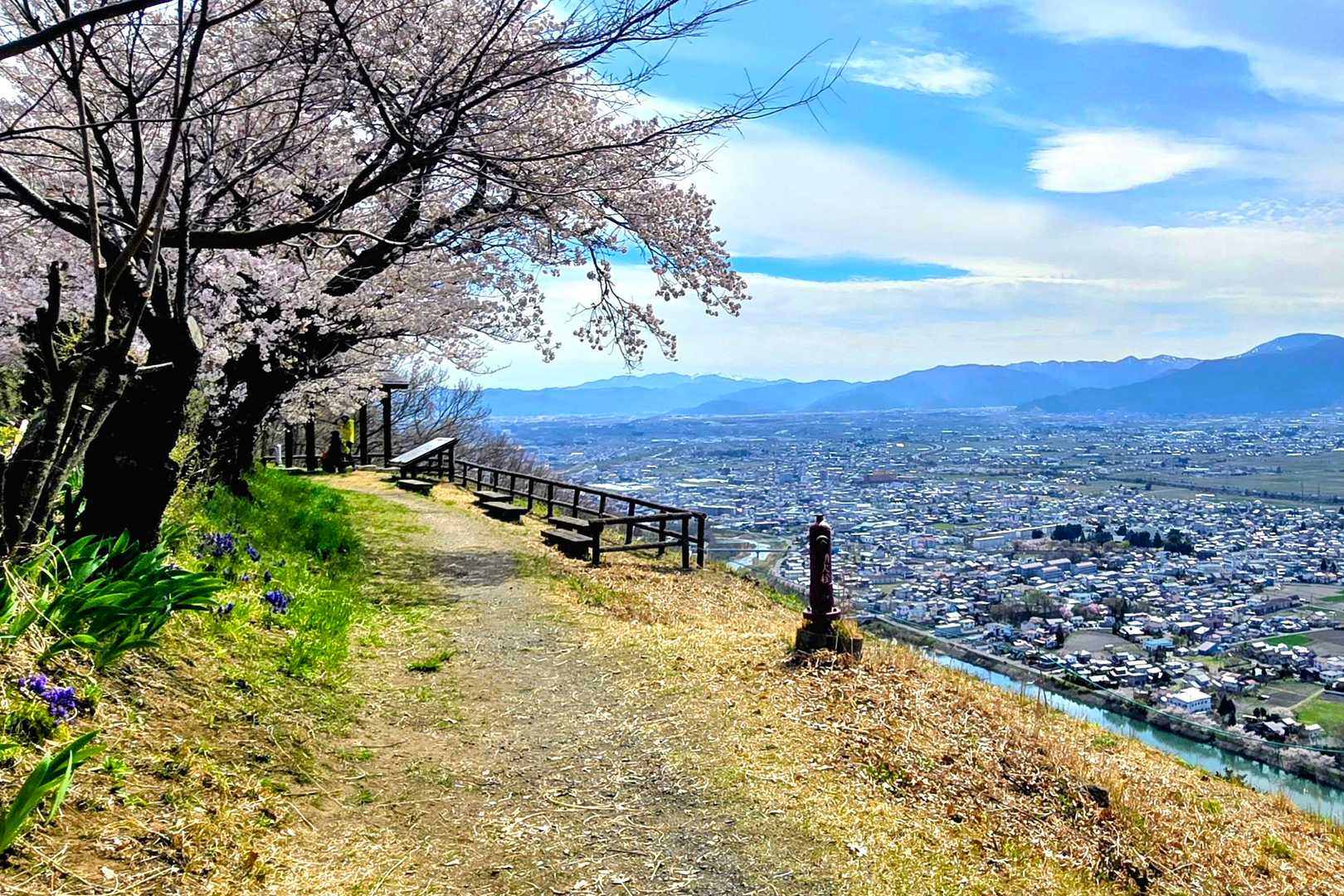 桜並木と松本の街並み、この季節に歩けて良かった☺️
