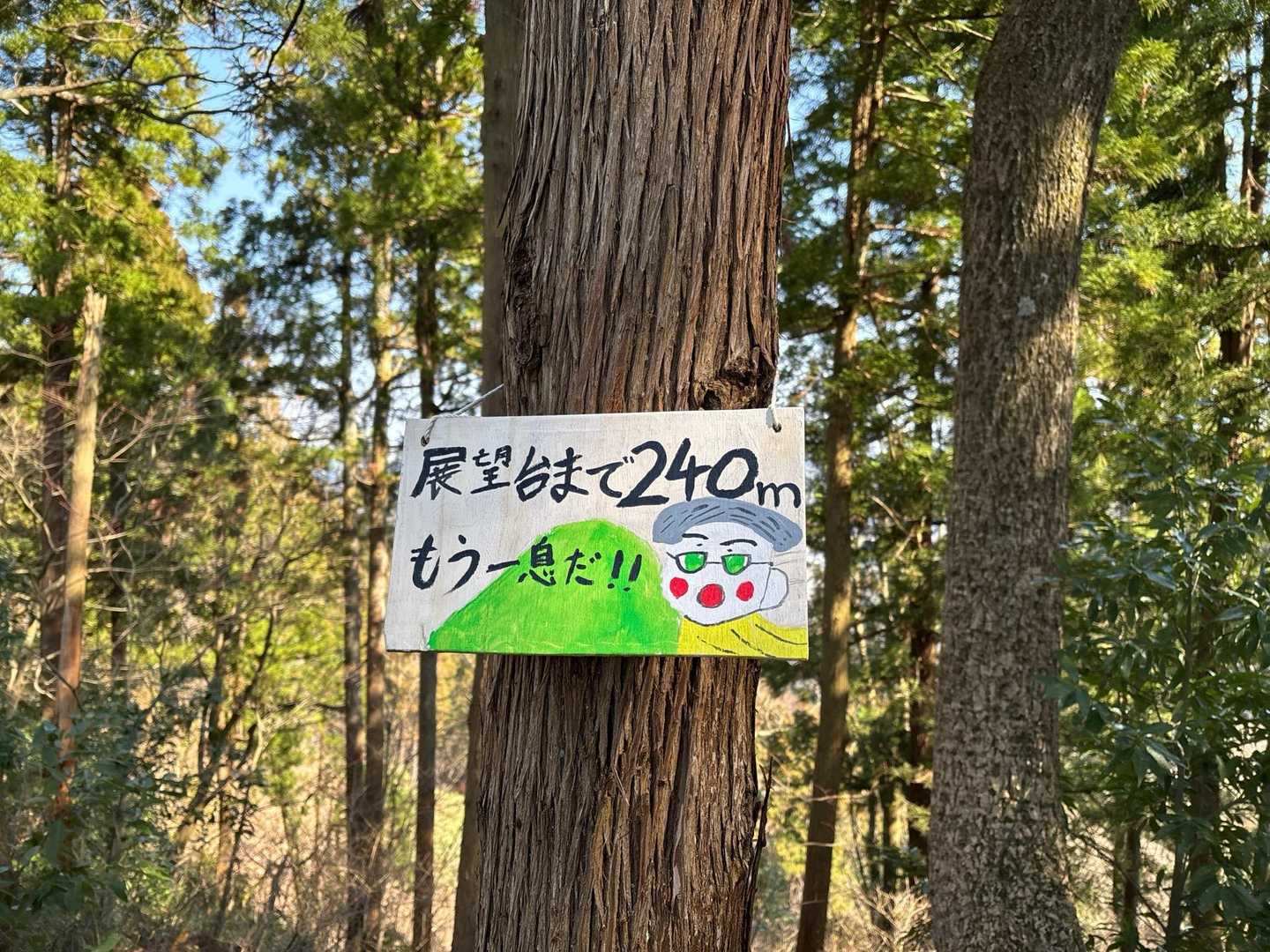 もう少し頑張る💪