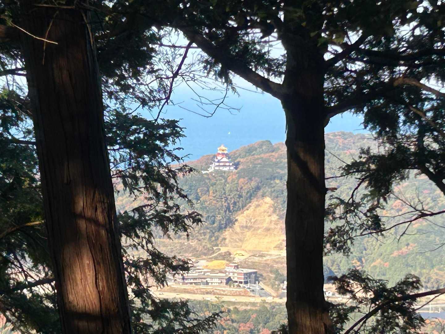 山頂の木々の間から忍者キングダム🏯👀