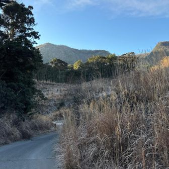 矢岳が見える 準備運動して いざ参る！
