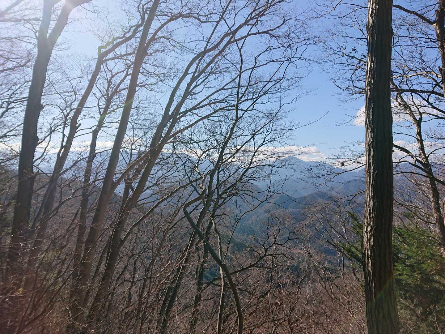 いい景色