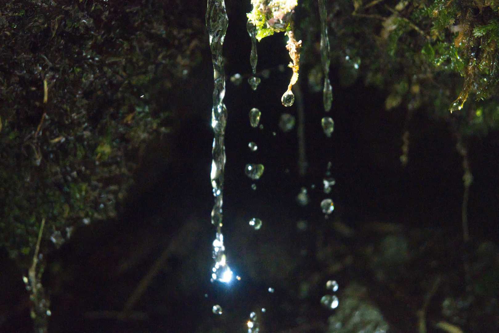 岩清水の雫がきらきら輝いて、まるで小さな宝石みたいでした💎✨