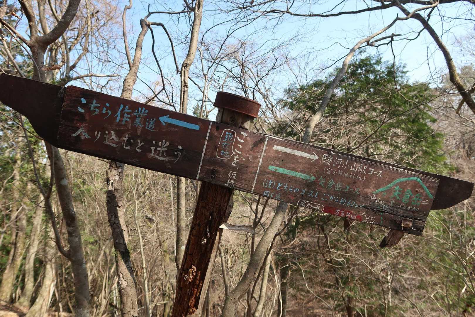 小さい面積に情報がいっぱい。「ここを、仮称」ってのが気になるわぁ😅

＜追記＞その後調べてみたところ、岩田㵎泉さんという方が作成した道標でした。本来はこの下にもう一枚板があり、数年前の写真を見たところ、「ここを、仮称」の下には「虎ノ口　と呼びます」と書いてありました。岩田さんの他の道標も見てみたいです☺️