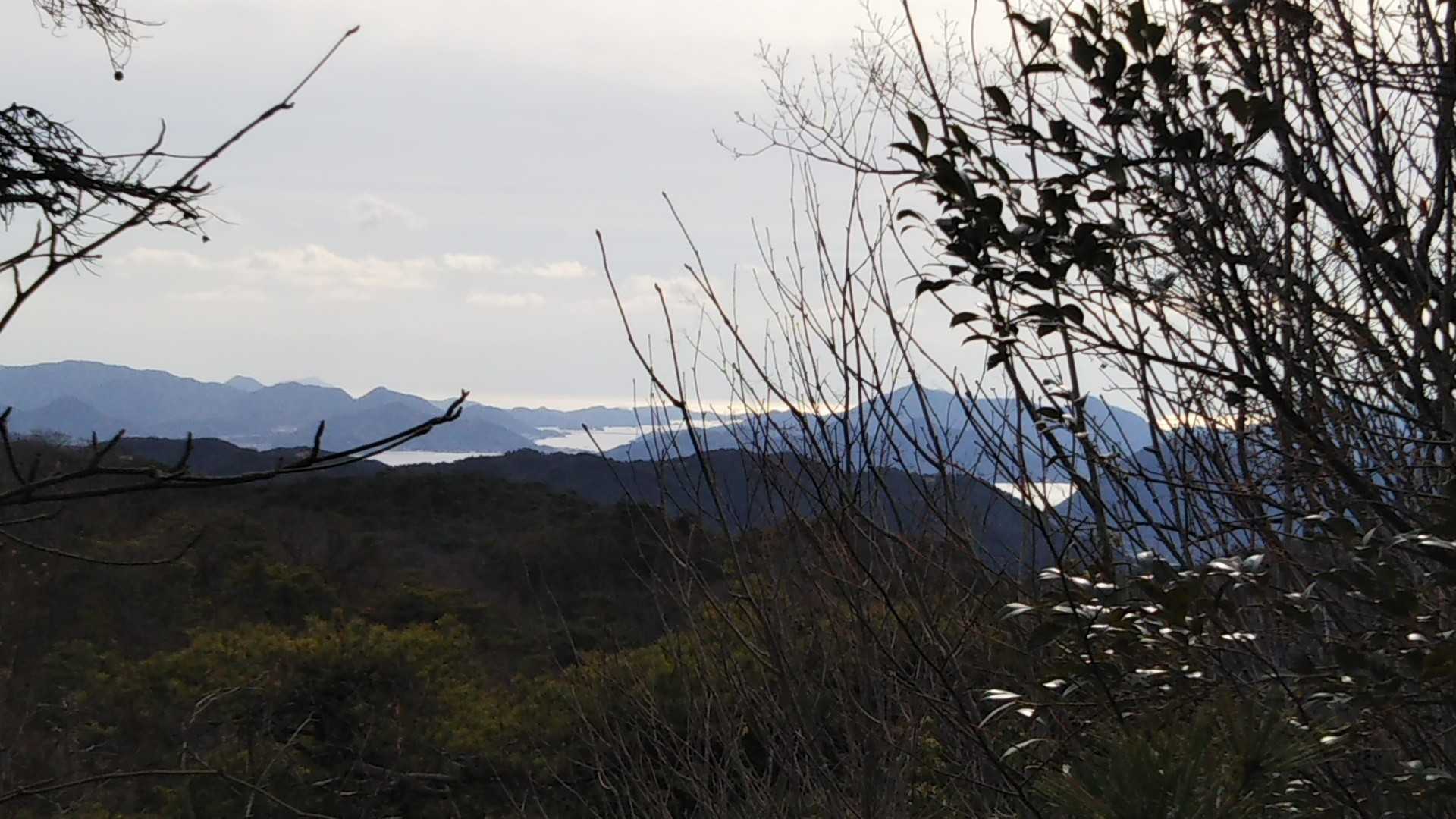 海が見える！