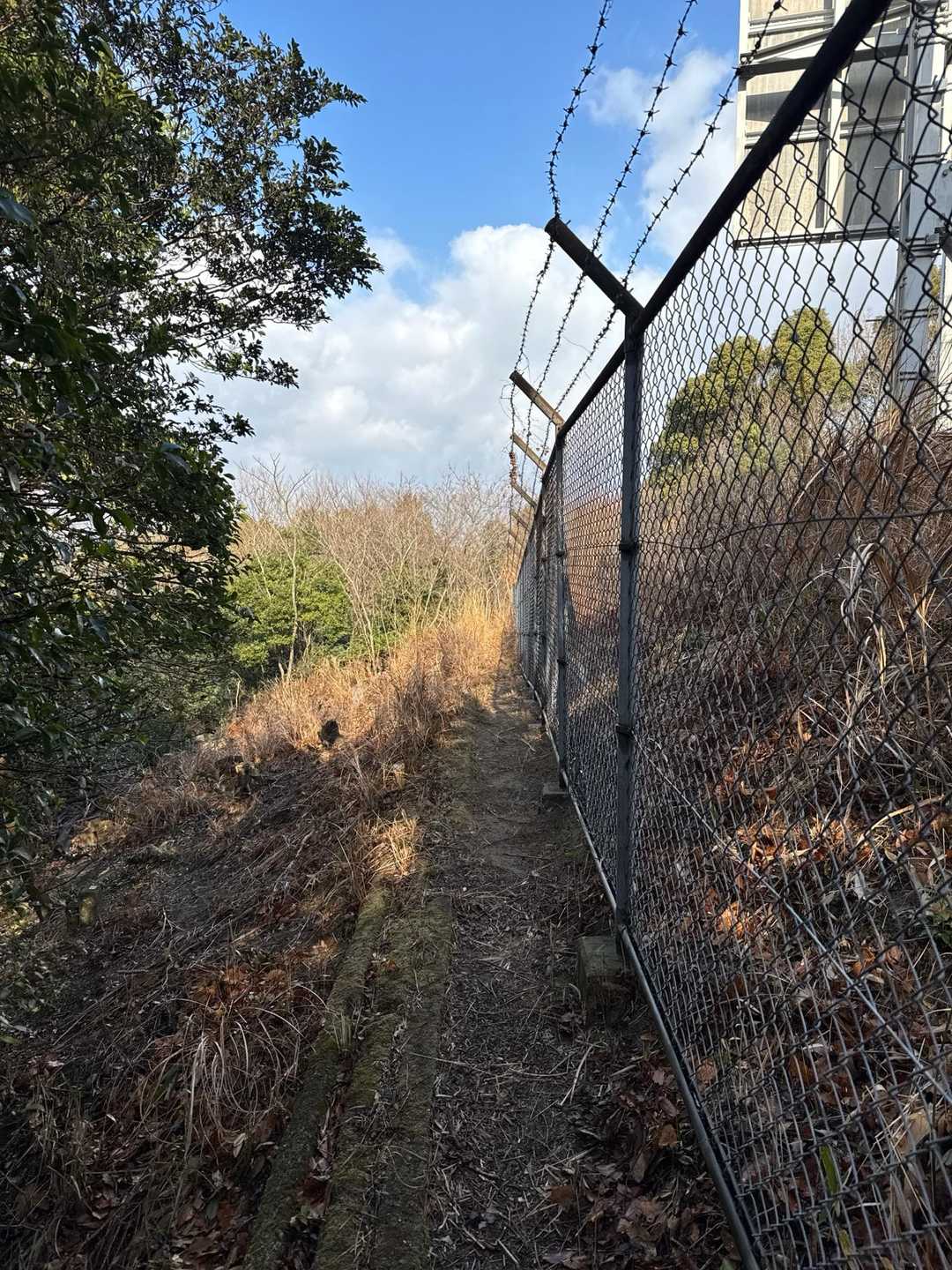 山の中の人工物嫌いじゃないです
どうやって運んだのか、どうやって建てたのか気になります