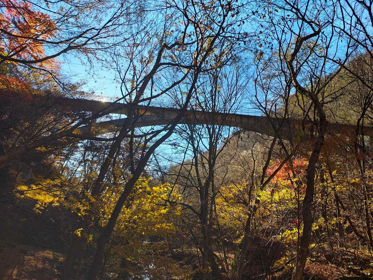 碓氷峠旧中山道入口-刎石山-粟が原-めがね橋 周回コースの写真
