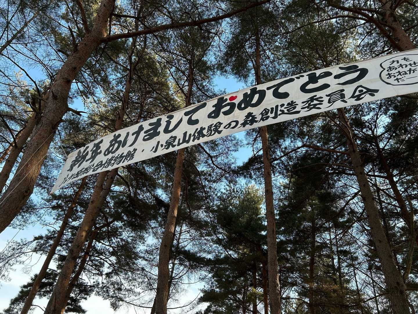 とても整備された里山です。