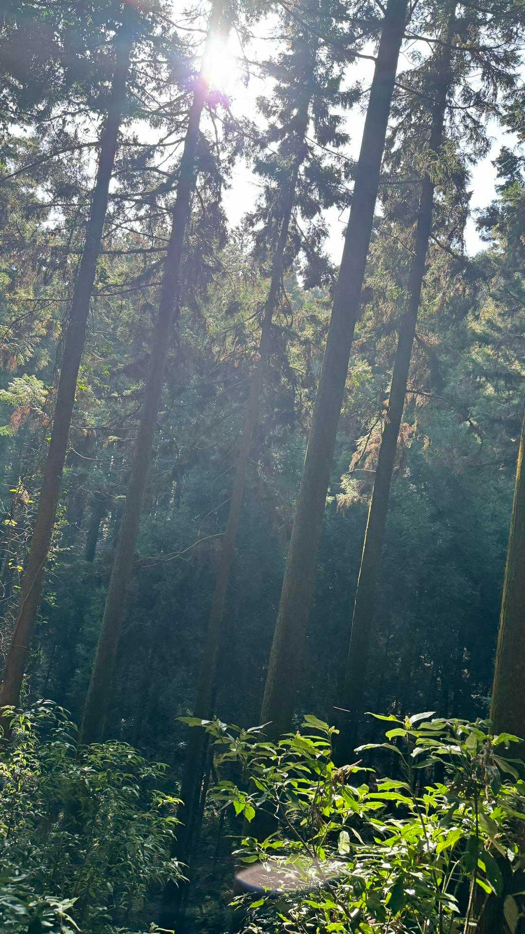 まだこの時は暑すぎず
そこそこは快適だった