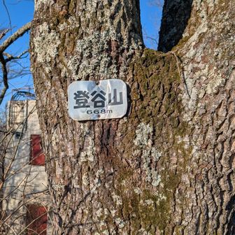 登谷山登頂🕺