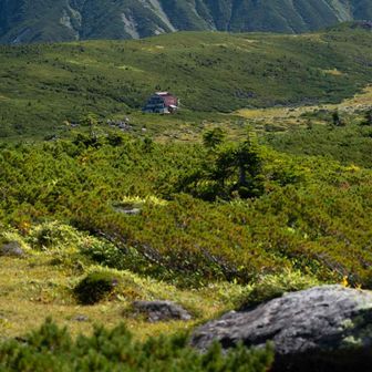 ぽつんと佇む雲ノ平山荘。ここもまた泊まりたい
