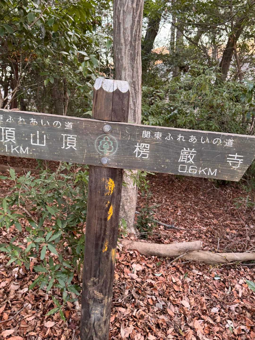 仏頂山 往復コースの写真