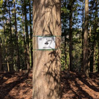 経ヶ岳は右。左の急な尾根を下りると坂尻に。