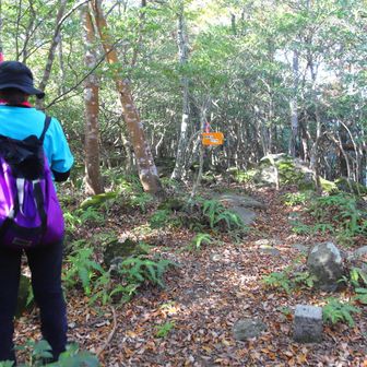 両戒山山頂
YAMAP1538座目
■大門
等級 :　三等三角点
緯度 :　33.522619833
経度 :　131.428256389
標高 :　348.95m
COD :　TR35031232401
場所 :　大分県宇佐市
訪問 :　2025年11月29日