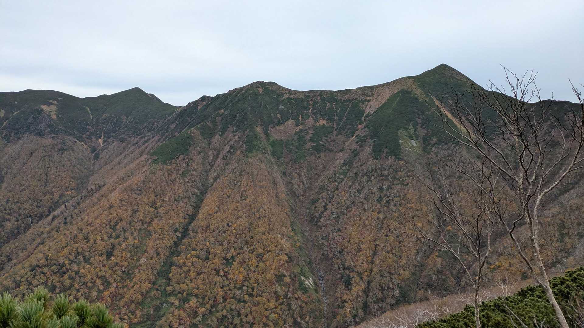 尾根に出たぁ〜