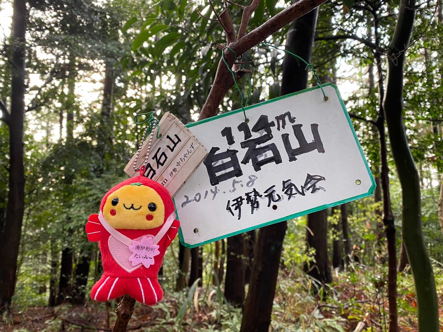 タイミー記念🍊