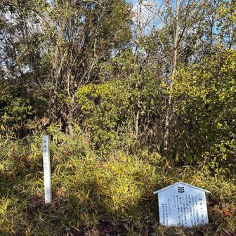 平荘湖は、昭和41（1966）年に工業用水の安定供給を目的に建設されたダムによってできた人造湖です✨6～7世紀に造られた古墳が100基程度あったらしいが‼︎ダムによってそのほとんどは水没したそうです！残った平荘湖古墳群は見れるそうです🤔