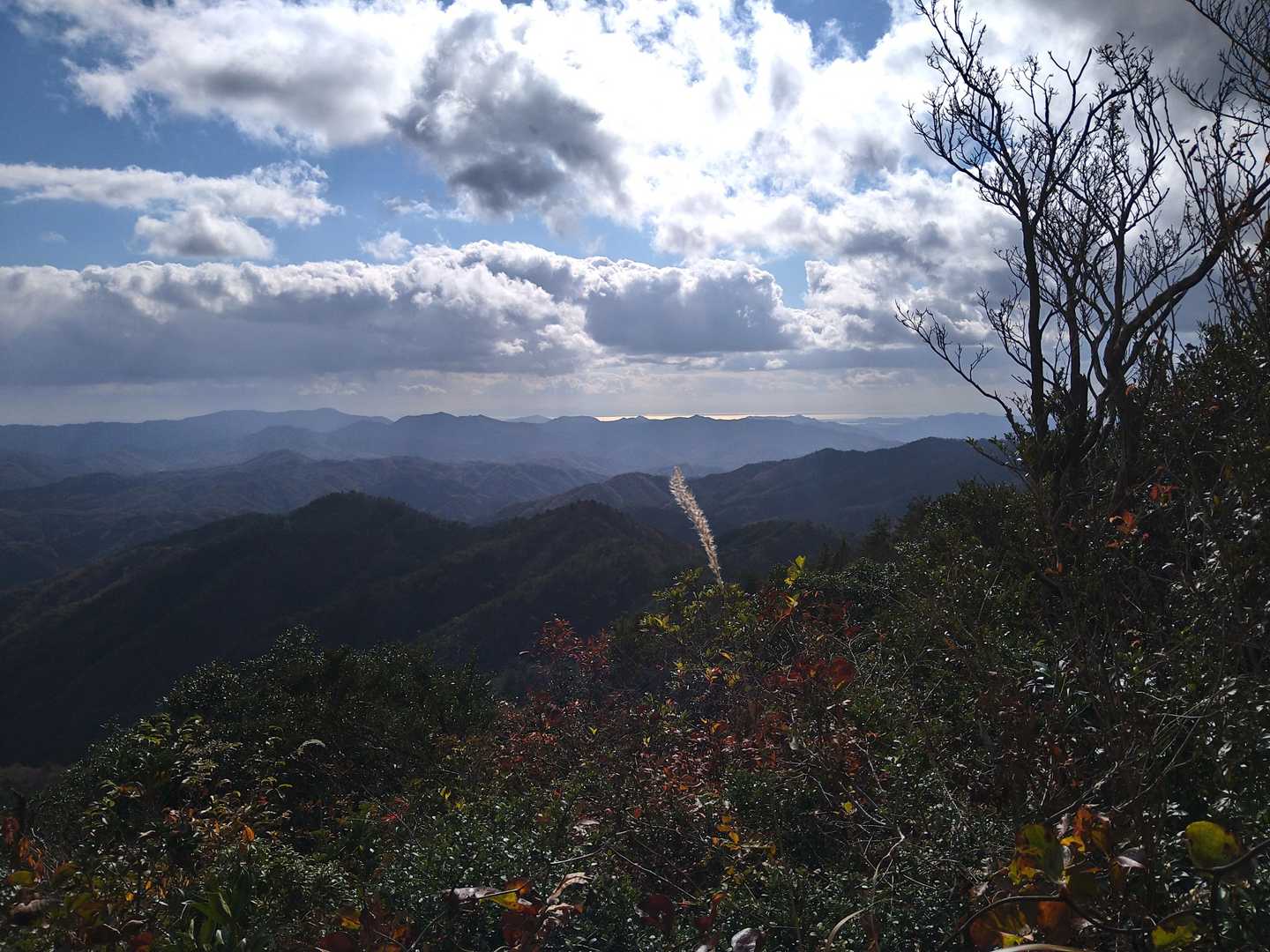物見ケ岳登頂‼️☔が降らなくて良かったね❗