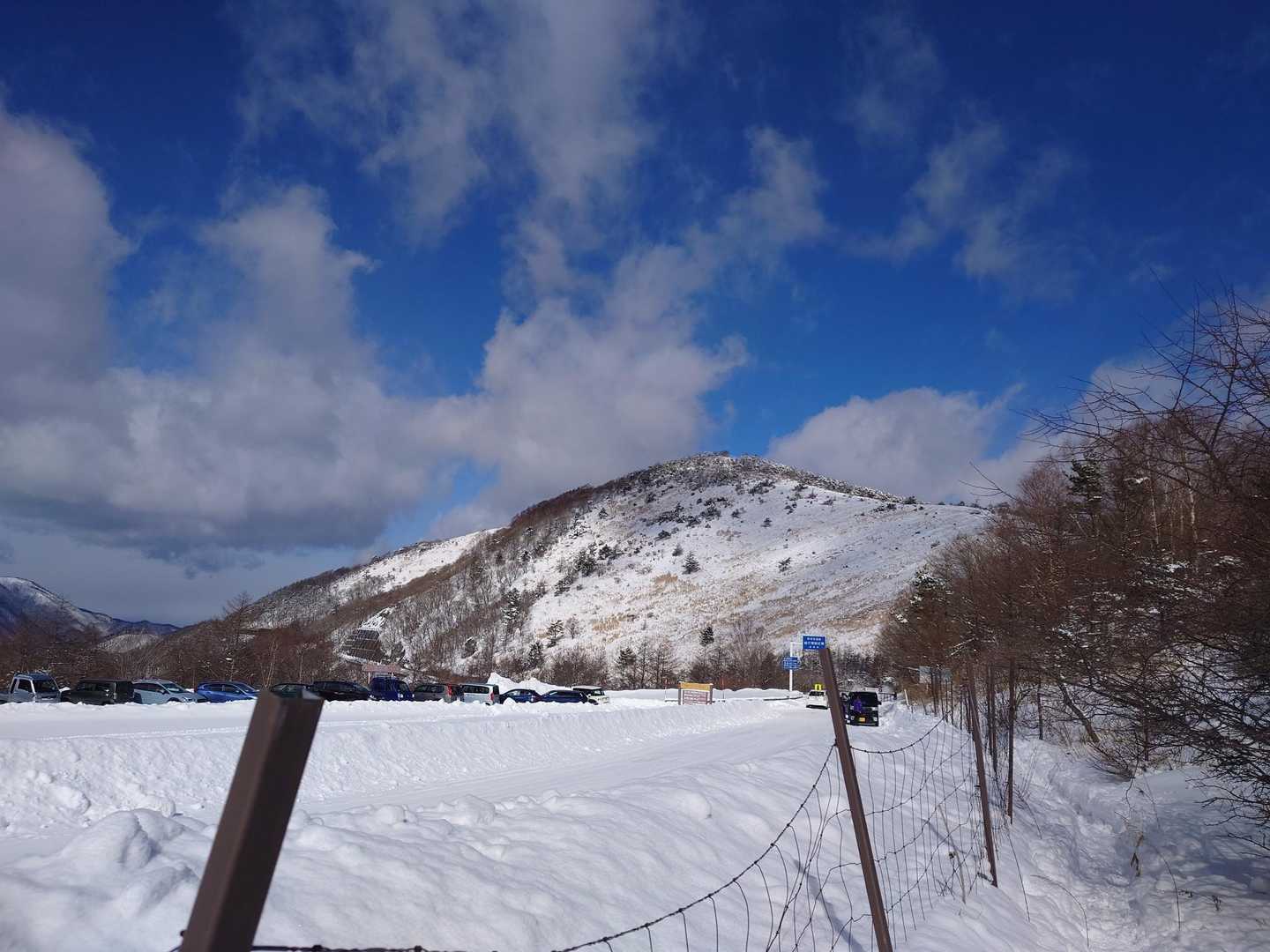 鷲ヶ峰往復 | 国指定天然記念物の植生豊かな高層湿原から、霧ヶ峰で有数の展望峰への写真