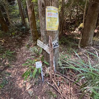 登山口にでたー