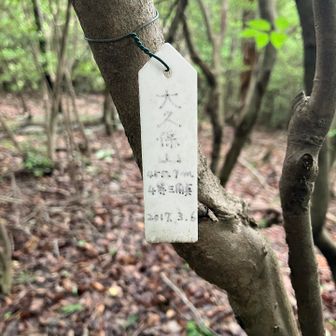 大久保山。これ見つけるのも結構苦労。
