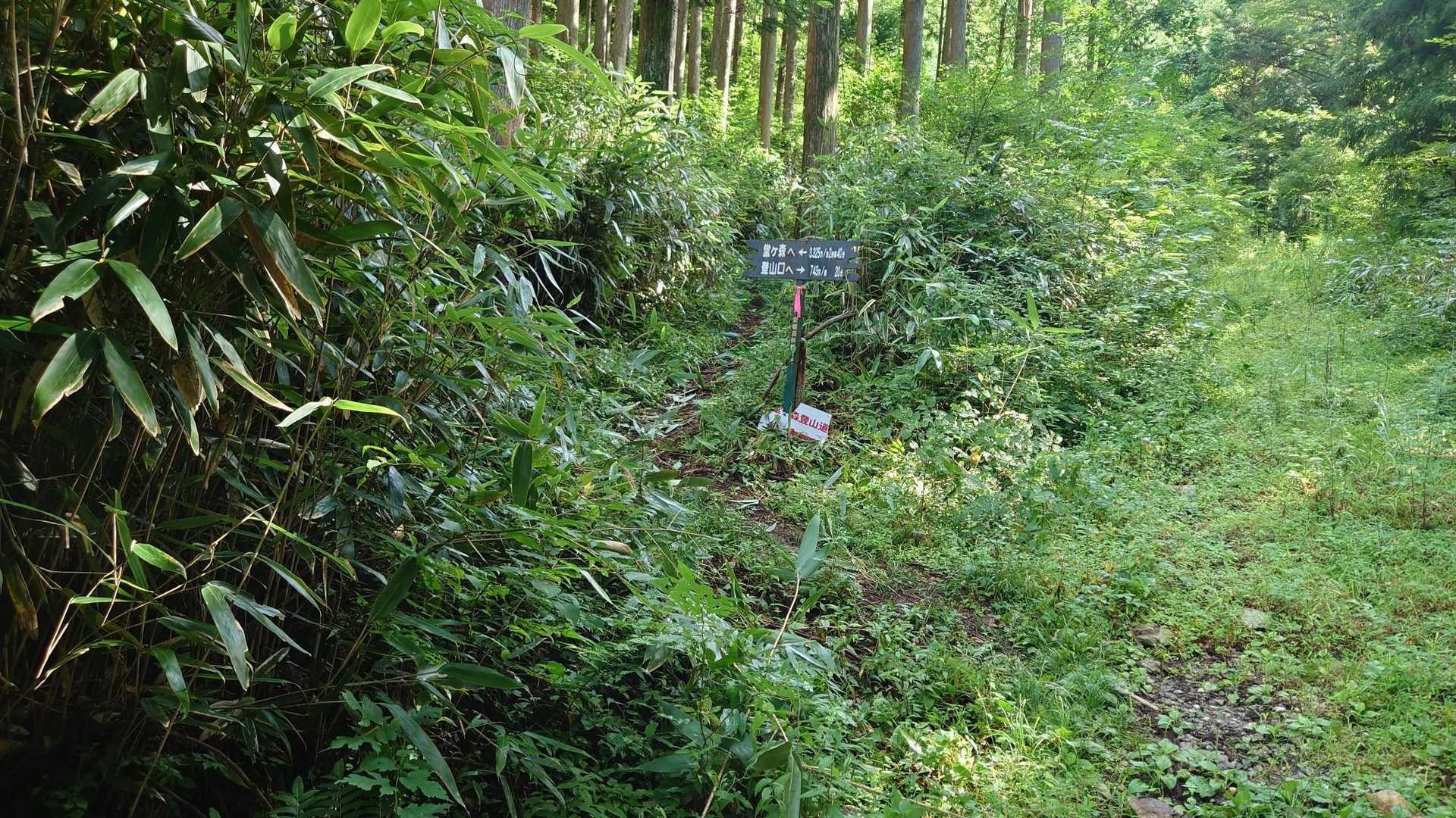梅ヶ市登山口-堂ヶ森 往復コースの写真