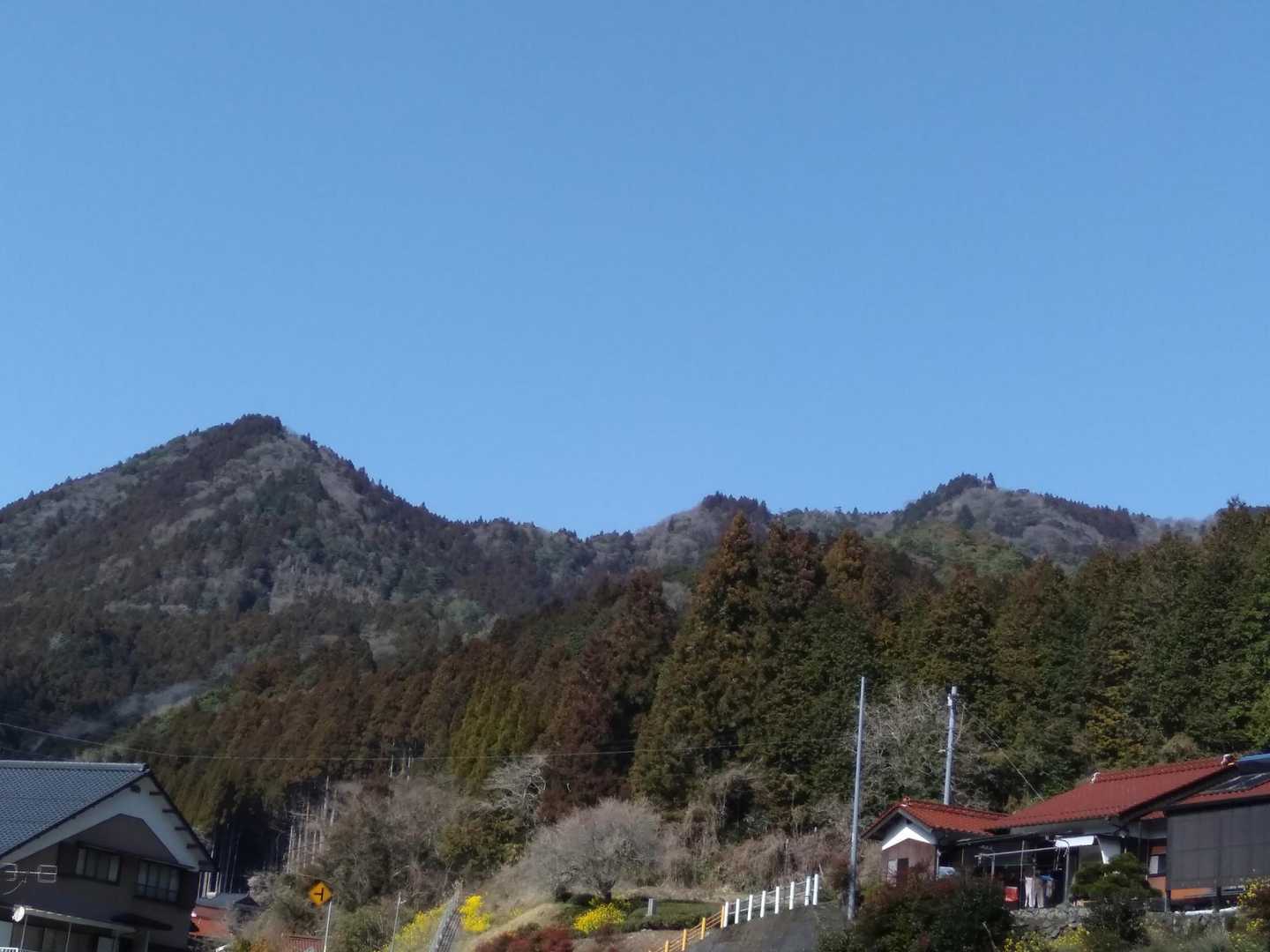 拡大して・・