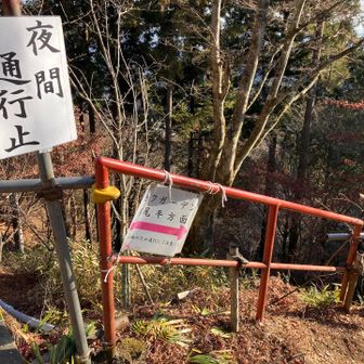 ショートカットの道ありました