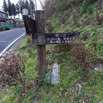 神社から100m
ぐらいで左に登山道入り口。車で来た方が入って行けずUターンしてました😆