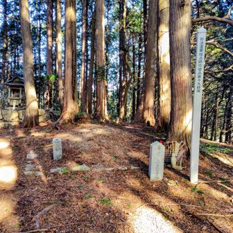 杉林の中に19経塚