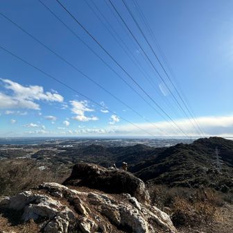 小高い山が神石山