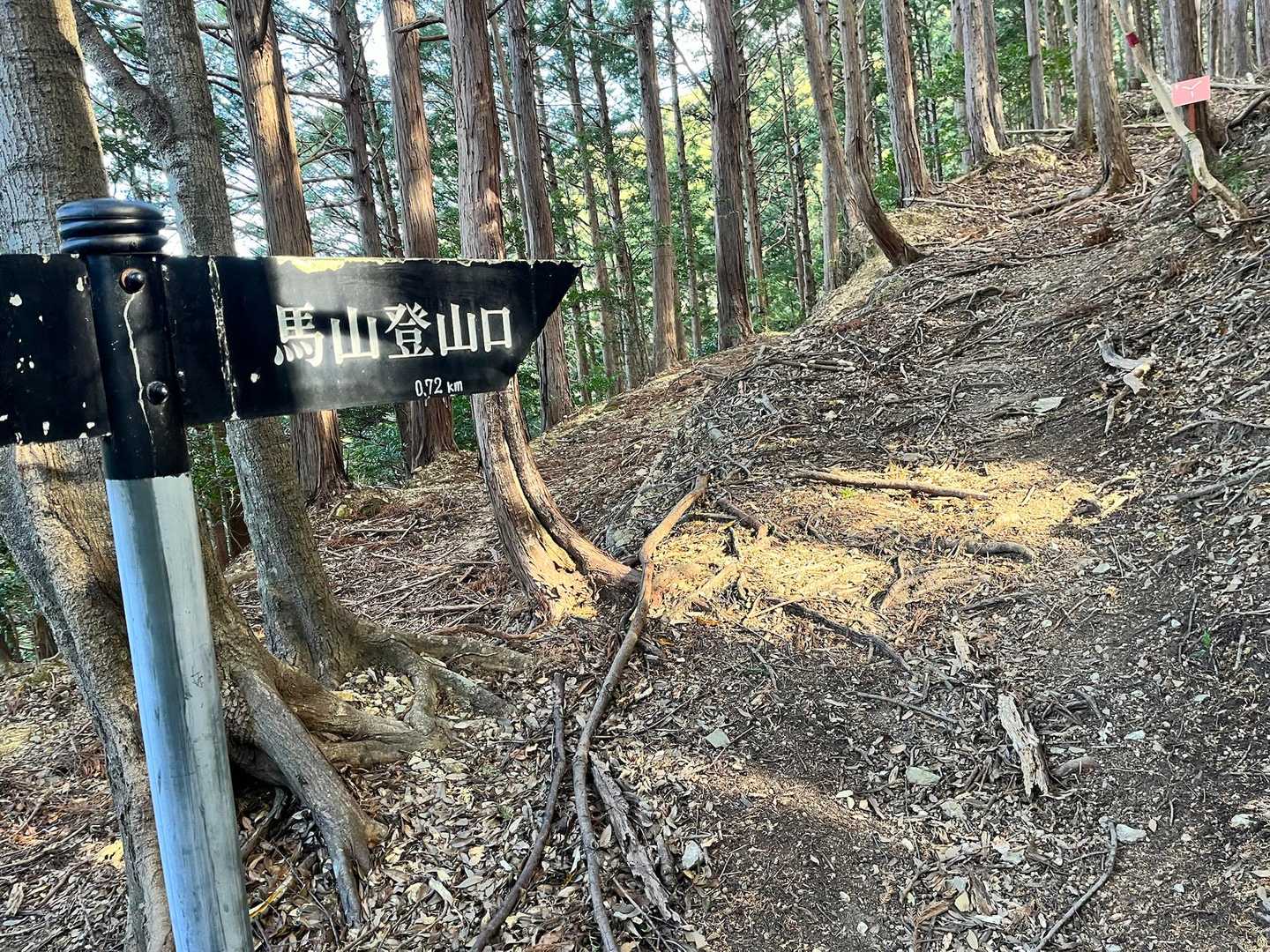 ここから