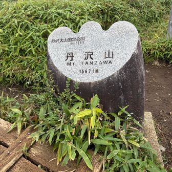 久しぶりの丹沢山！
