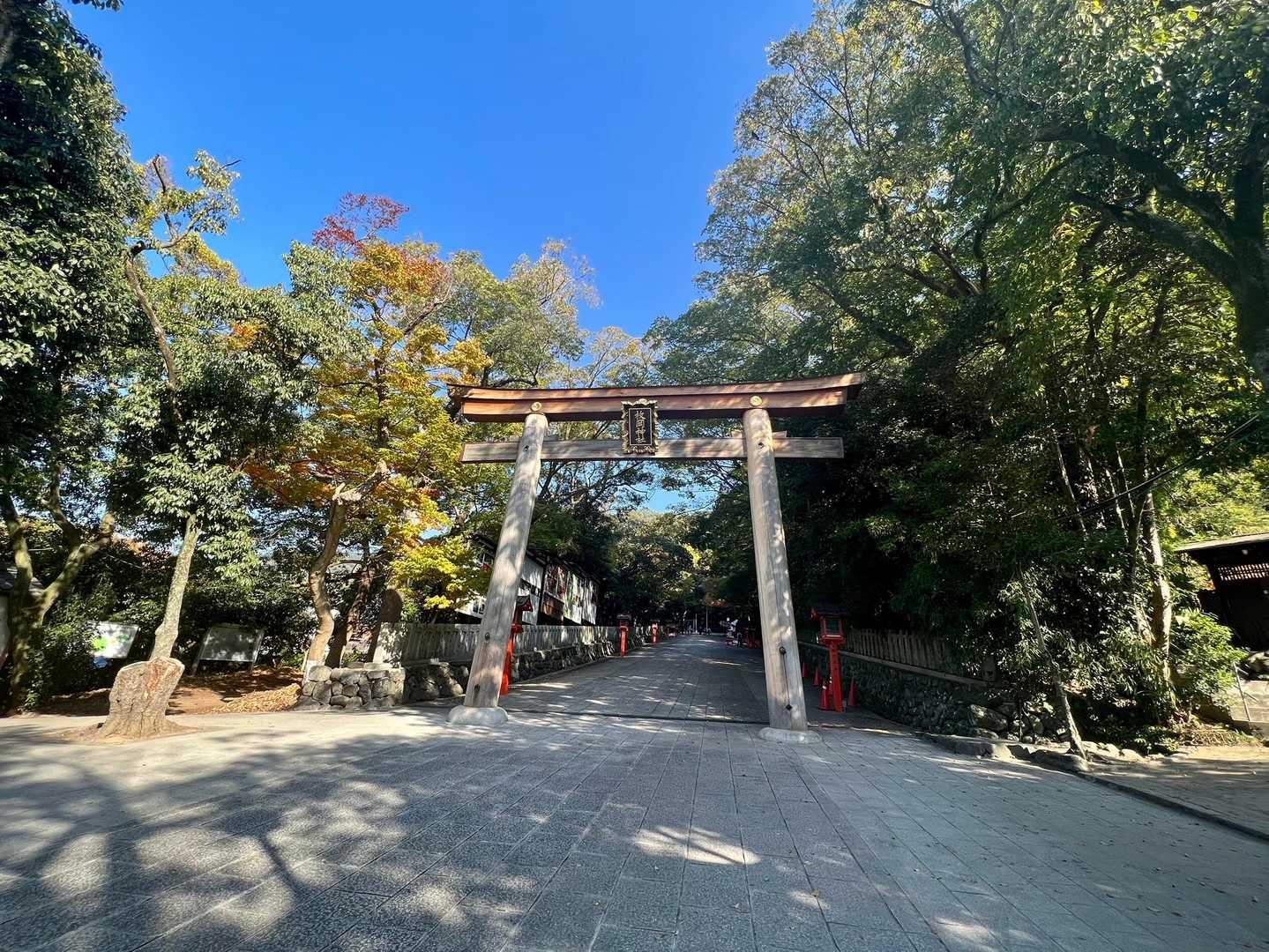 元山上口駅-鳴川峠-大原山-神津嶽-枚岡駅 縦走コースの写真