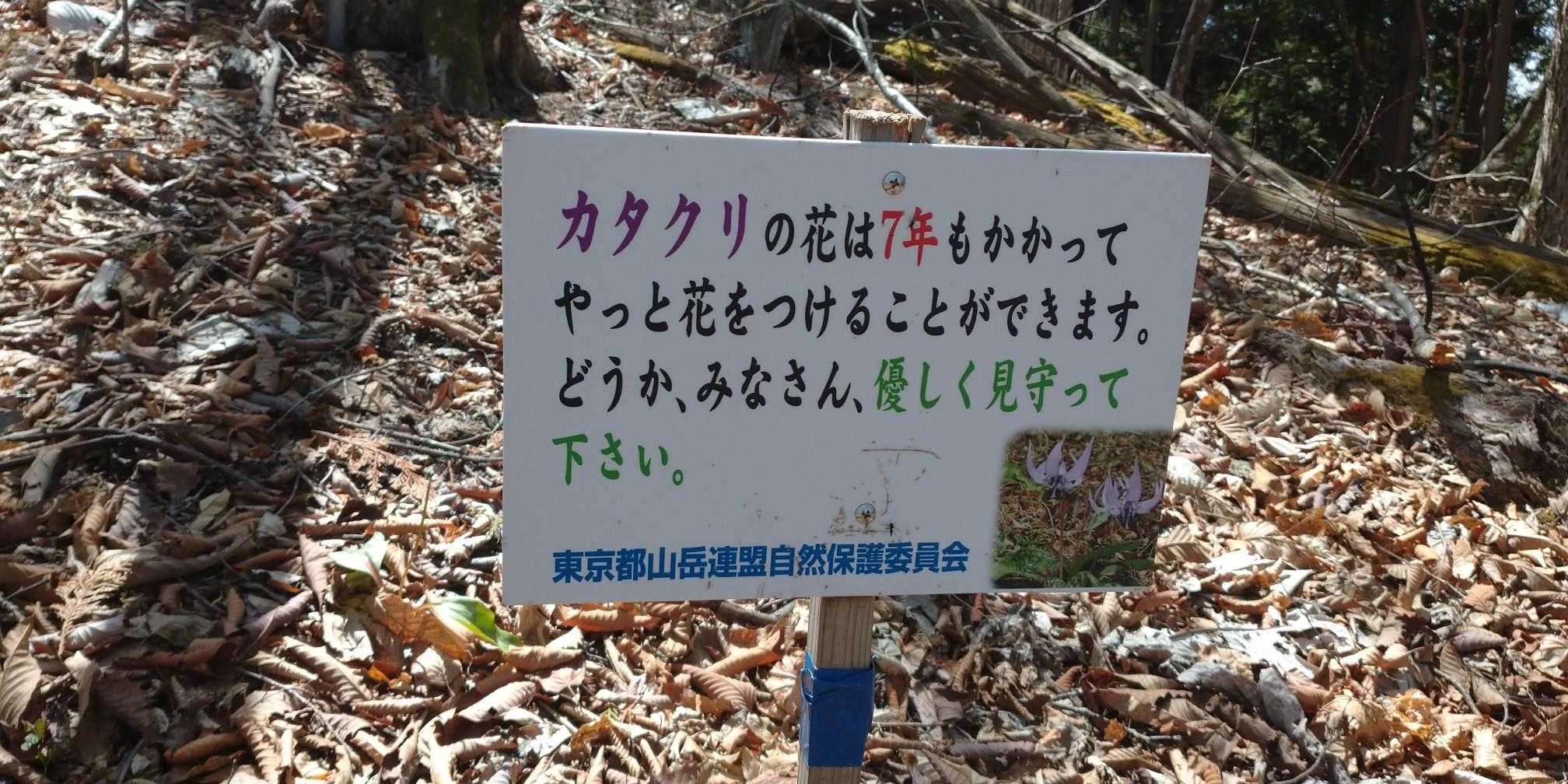 なになに🧐
え～セミと一緒じゃん！
カタクリさん、大事にしなきゃね💜