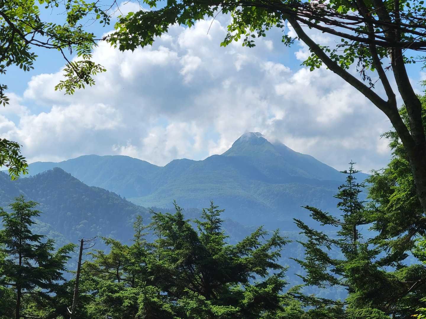 燕巣山 往復コースの写真