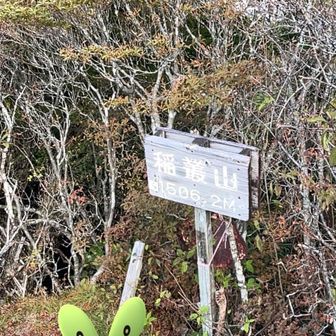 カジッチュからの〜