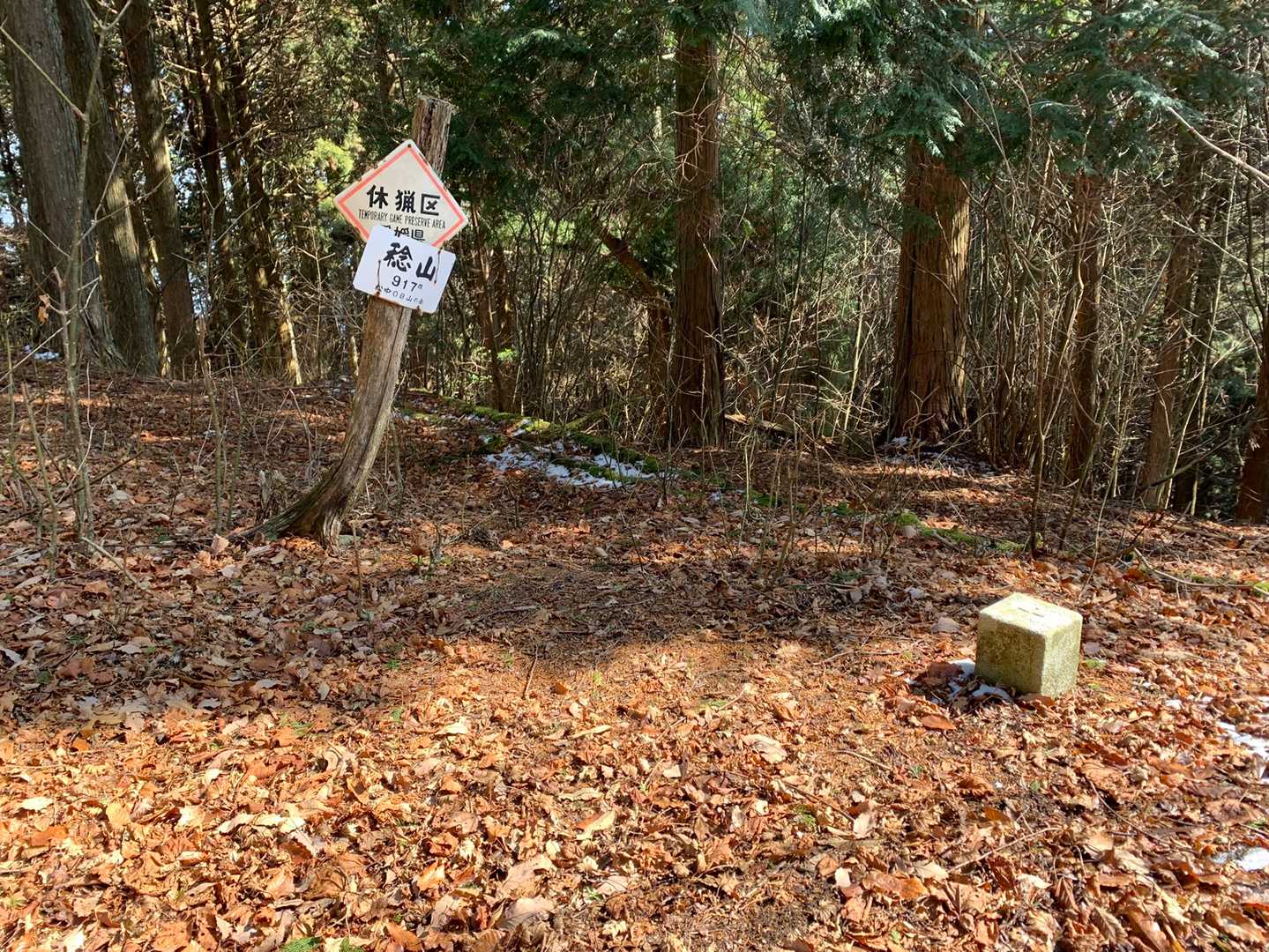 『稔山』🚩初登頂‼️