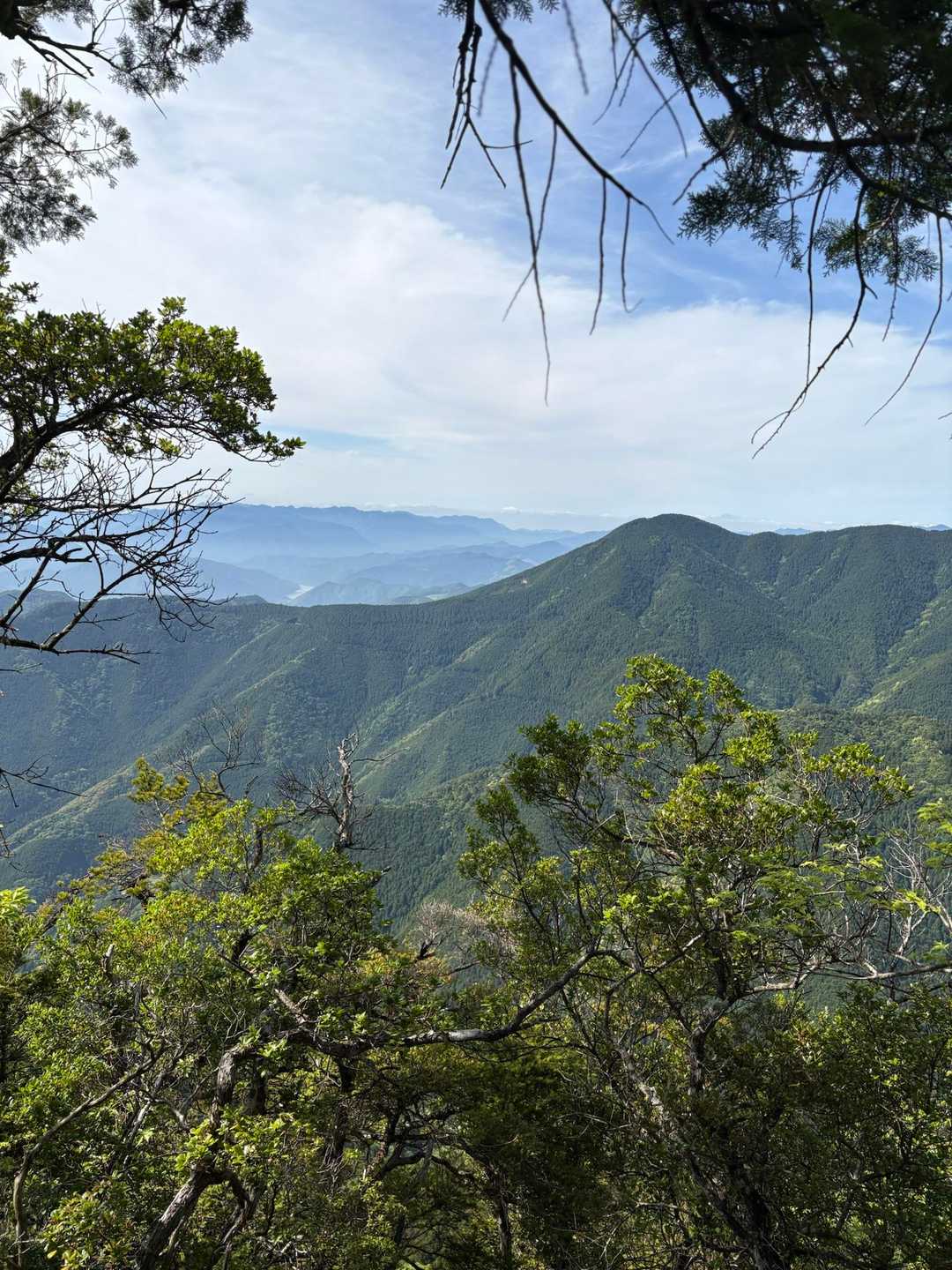 少し進むとこの景色！