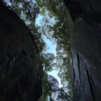 上から陽が差し込んだり、霧が出た時は神秘的やろね